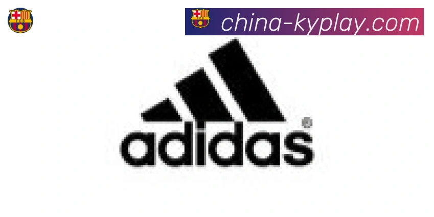 开云合作伙伴